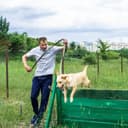 Выгул питомцев