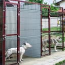 Тренировка команд